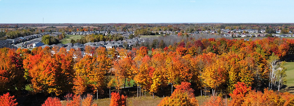 eQuinelle Subdivision