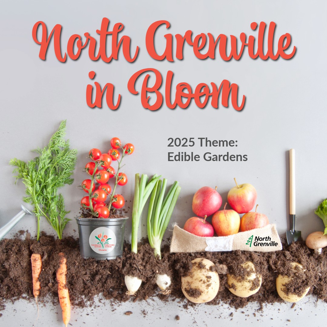 North Grenville Launches 3rd Annual Communities in Bloom Photo Contest: “Edible Gardens”