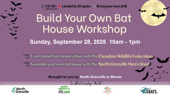 Bats The Nighttime Heroes of our Ecosystem.png