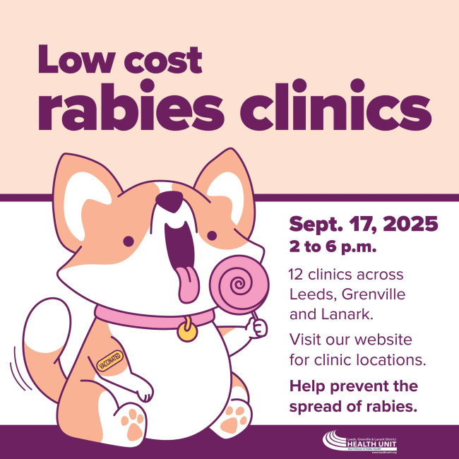 rabies.jpg