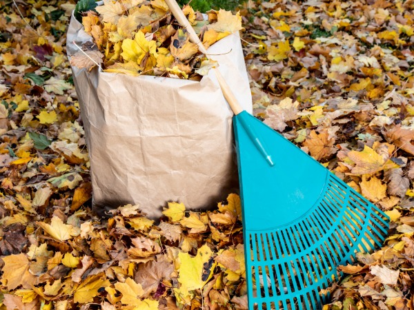 Curbside Leaf and Yard Waste Collection